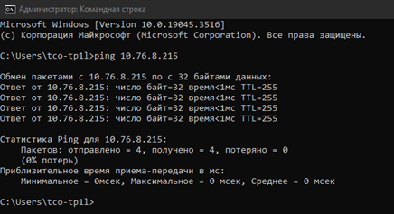 ping 10.76.8.215